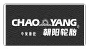 林德偉特合作客戶：朝陽(yáng)輪胎